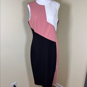 White House Black Market Asymmetrical Design Pink and Black Dress (DJ2)